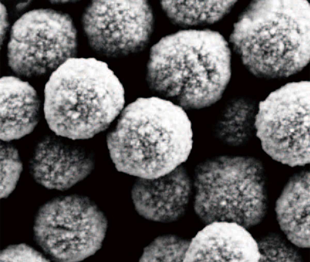 磁性微球：免疫磁性微球的应用有哪些？